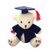 plush bear, more colors for choice, 15cm with standing posture, 17cm with hat